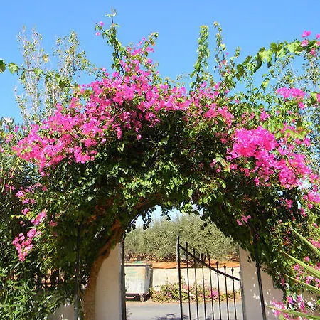 Hotel apartamentowy Alex Hersonissos (Crete)