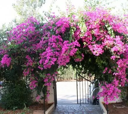 Hotel de apartamente Alex 3*