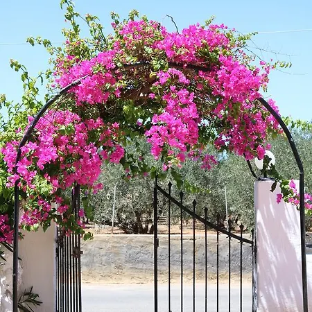 Hotel de apartamente Alex Hersonissos (Crete)